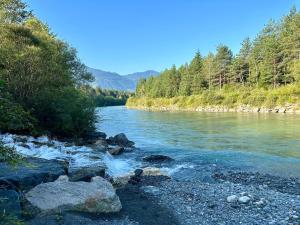 a river with rocks and trees on the shore at FACT Apartments in Arnoldstein