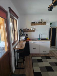 a small kitchen with a counter and a sink at Tiny House Colibita in Colibiţa