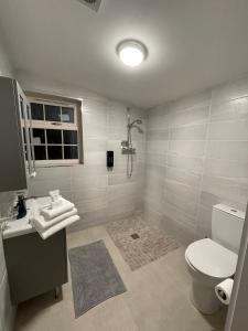 a bathroom with a toilet and a sink at Mickeys Shed in Waterford +30 photos
