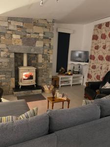 a living room with a couch and a fireplace at Mickeys Shed in Waterford
