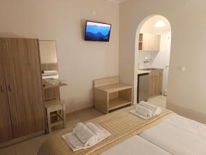 a room with a bed and a kitchen with a tv at Ever Green in Kavos
