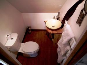リヨン・ラ・フォレにあるL'Escapade de Marijacの小さなバスルーム(トイレ、シンク付)