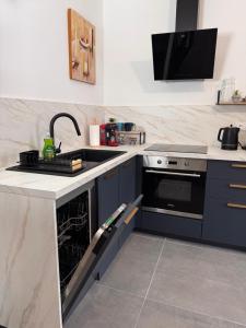 a kitchen with a sink and a stove at Voiron centre - De Tassigny in Voiron