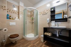 a bathroom with a shower and a toilet and a sink at Vinný sklep u Křížů in Milotice
