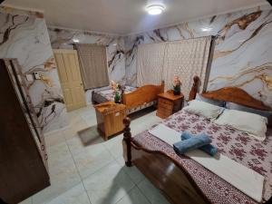 a bedroom with a bed in a room with a mural at Dream Big Accommodation in Apia