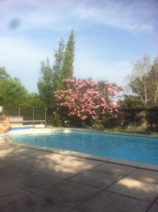 a woman sitting next to a swimming pool with a flowering tree at Ardèche, studio indépendant dans jardin in Chomérac