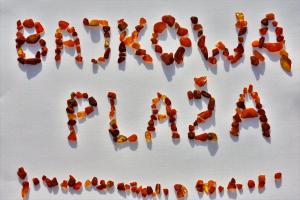 Certifikát, ocenenie alebo iný dokument vystavený v ubytovaní Bajkowa Plaża - Muszelka