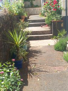 a garden with potted plants and flowers on the steps at Bossell Cottage Devon in Buckfastleigh