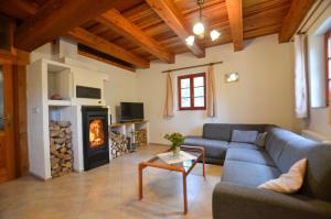 a living room with a couch and a fireplace at Jezinka Dolní Morava in Dolní Morava