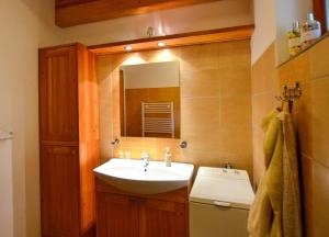 a bathroom with a sink and a mirror at Jezinka Dolní Morava in Dolní Morava +12 photos