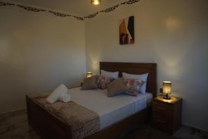 a bedroom with a bed and a lamp on a night stand at Bab Akchour in Chefchaouen +123 photos