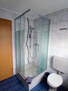 a shower with a glass enclosure in a bathroom at Ferienwohnung-Heidi in Neuwilthen