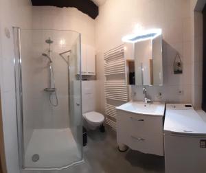 a bathroom with a shower and a toilet and a sink at Haus am Meer Eckwarden in Butjadingen