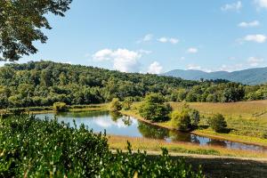 a river in a field with mountains in the background at Clonmel Acres in Afton