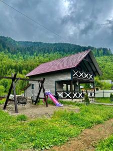 a playground in front of a house with a slide at Котедж у Софійки in Synevyrsʼka Polyana +16 photos