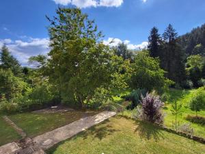 a tree in the middle of a garden at Ferienwohnung Tutbach in Jünkerath