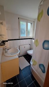 a bathroom with a sink and a toilet at Spalentor City Apartement in Basel