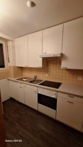 a kitchen with white cabinets and a sink at Spalentor City Apartement in Basel