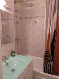 a bathroom with a sink and a shower at Les Portes du Soleil Studio in Le Biot