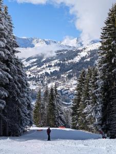 a person standing on top of a snow covered mountain at Les Portes du Soleil Studio in Le Biot +6 photos