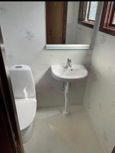 a bathroom with a toilet and a sink and a mirror at Schwedentraum in Burseryd +12 photos