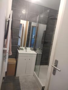 a bathroom with a white sink and a shower at Maison à Macon in Mâcon +11 photos