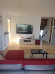 a living room with a red couch and a flat screen tv at Maison à Macon in Mâcon