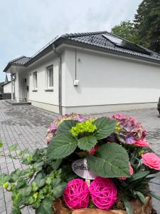 a pot of flowers in front of a house at Ferienhaus Waldblick in Hohenfels-Essingen