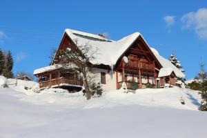 a large wooden house with snow on the roof at Apartmany Ruby in Rokytnice nad Jizerou