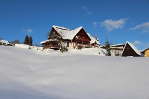 a house covered in snow on a snow covered field at Apartmany Ruby in Rokytnice nad Jizerou