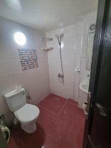 a bathroom with a toilet and a sink at Appartement sselam fetouaki montagne view in Moulay Yacoub