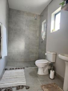 a bathroom with a shower and a toilet and a sink at Windsor Cottage in Avondale