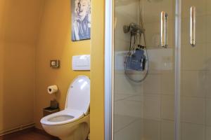 a bathroom with a toilet and a shower at Central Bruges B&B in Bruges
