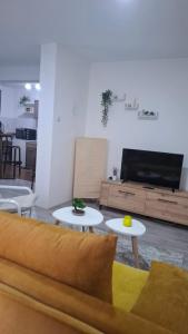 a living room with a couch and tables and a tv at SAMI APARTMAN in Niš