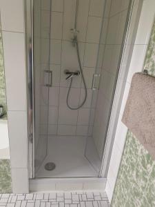 a shower with a glass door in a bathroom at Inselappartement in Niederwerth