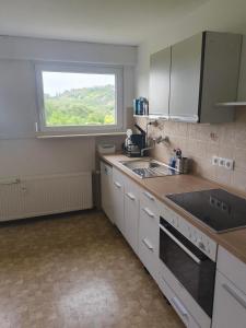 a kitchen with a sink and a window at Inselappartement in Niederwerth