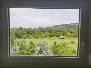 a window with a view of a field and trees at Inselappartement in Niederwerth