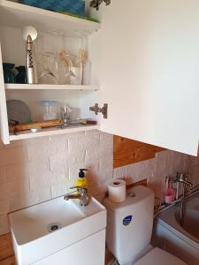 a small bathroom with a toilet and a sink at Namelis Karklėje in Karklė +20 photos