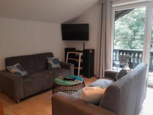 a living room with two couches and a television at Wellness Pension Hubertus in Marquartstein