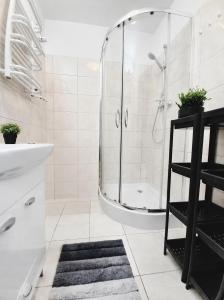 a white bathroom with a shower and a sink at Dobre Sny na Konopnej in Bydgoszcz