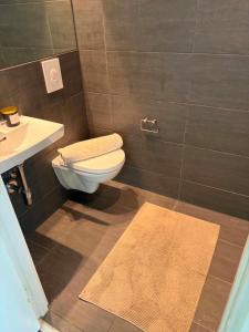 a bathroom with a toilet and a sink at South Harbour Studios in Vordingborg