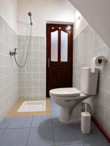 a bathroom with a toilet and a shower at Blue Tizirin House in Tamraght Ouzdar