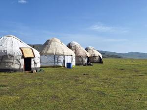a row of tents in a field of grass at Jusup Guest House, Hostel horse riding tours to Son Kol and Karakol in Dzhangyaryk