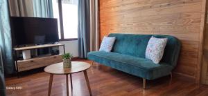 a living room with a green couch and a tv at La Maison Douce Lourdes in Lourdes