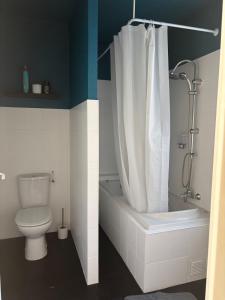 a bathroom with a toilet and a shower curtain at Appartement - Baume-les-Dames in Baume-les-Dames
