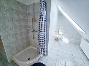 a bathroom with a shower and a toilet in it at Weinberger Vendégház in Zamárdi +70 photos