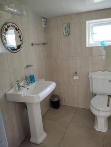 a bathroom with a sink and a toilet and a mirror at New Ross Farm Cottage in New Ross