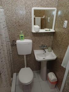 a bathroom with a toilet and a sink and a mirror at Studio Rada in Ulcinj