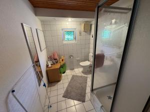 a small bathroom with a shower and a toilet at Gemütliche Ferienwohnung nähe Schloss Benrath & Rhein Düsseldorf Urdenbach in Düsseldorf