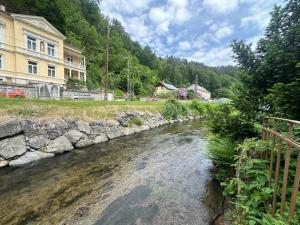 a river in front of a building and a house at Apartment Studio Aurora in Bad Schandau